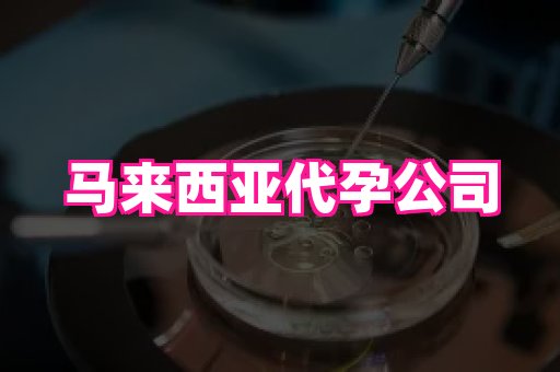 河南助孕网站 2