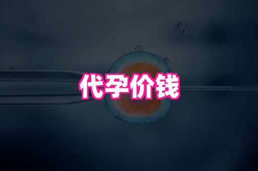 河南助孕网站 4